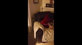 It's not just Christmas she hates.....she doesn't seem too fond of New Year celebrations either Loll