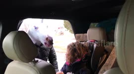 Mystical Unicorn Dad - New Year's Edition!