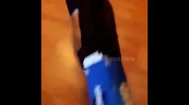 Dog gets head stuck in beer box