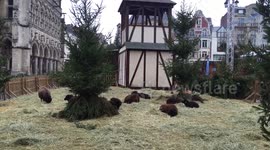 Christmas Square in Saint Quentin