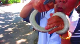 Choosing a Snake to eat in Vietnam