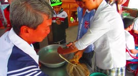 Draining blood from the Snake in Vietnam