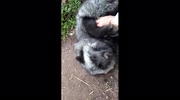 temp