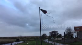 Winds whip up along the coasr.