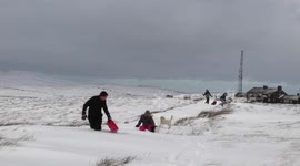 Sledging, snowball fights and happy dogs in the snow