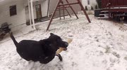 temp