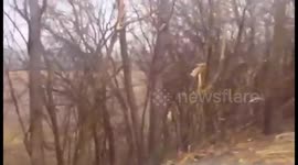 Icestorm Aftermath in Missouri