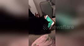 Newsflare Edit - Kitten playing on iphone