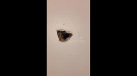 How to fix a hole in the wall using bread