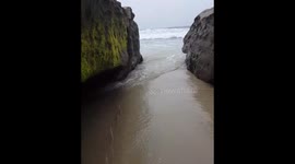 La Jolla Shores Park