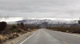 Fog over Joshua tree. 