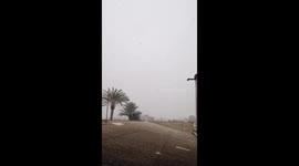 Snow falls on palm trees in Spain's Costa Blanca