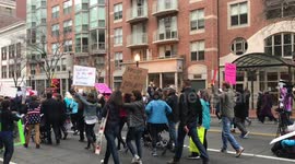 Women's March DC 2017