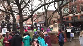 Women's March Knoxville TN