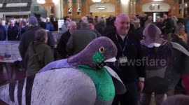 surprise visitors to the BHW show 2017