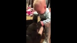 Cute baby reaction to first time seeing puppies!!! ????