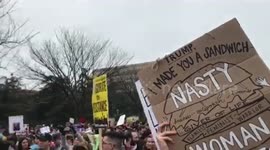 Women's March 2017 in D.C