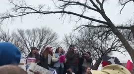 Women's March 2017 in D.C