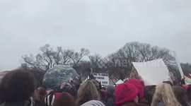 Women's March 2017 in D.C