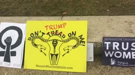 Women's March 2017 in D.C