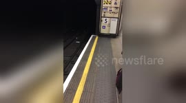 Newsflare Edit - @LaureBoulinier @Newsflare more today!!! https://t.co/0IeTZPBHy7