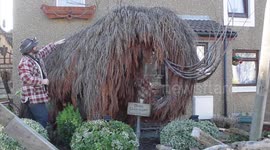 Sculptor creates wooden pirate ship in his back garden