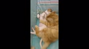 temp