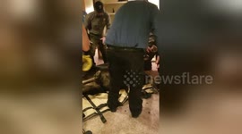 Newsflare Edit - Moose rescued after falling into basement in Idaho, USA