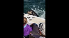 Sea lion amd mia (2)