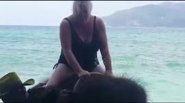 Elephant riding goes wrong