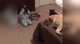 Toddler loves to take pictures of her puppy