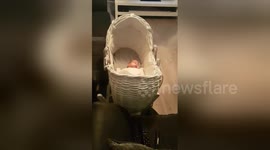 Newsflare Edit - Siblings reaction to prem baby's first day home after 3 months in hospital.