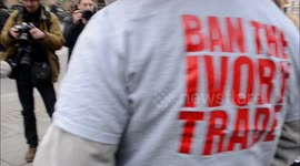 Ban the ivory trade , 