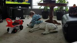 Toddler's best friend